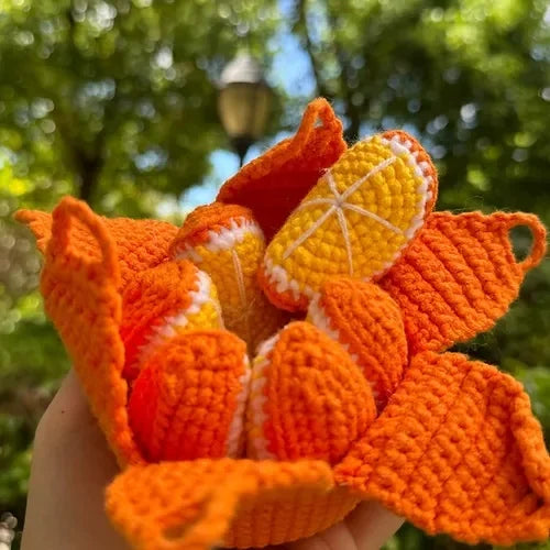 🍊 Crochet Fruit Cup Mat Set